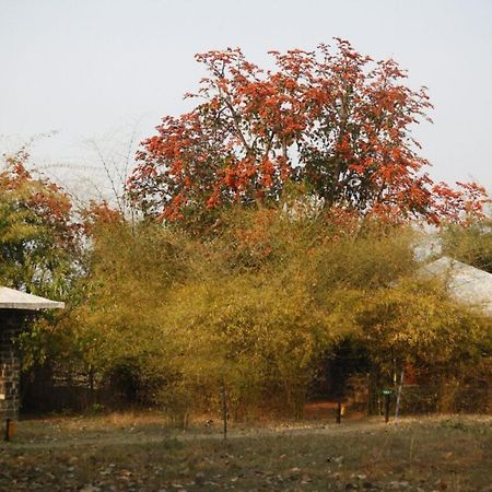 Renest Bandhavgarh Meadows Hotel Tala  Bagian luar foto