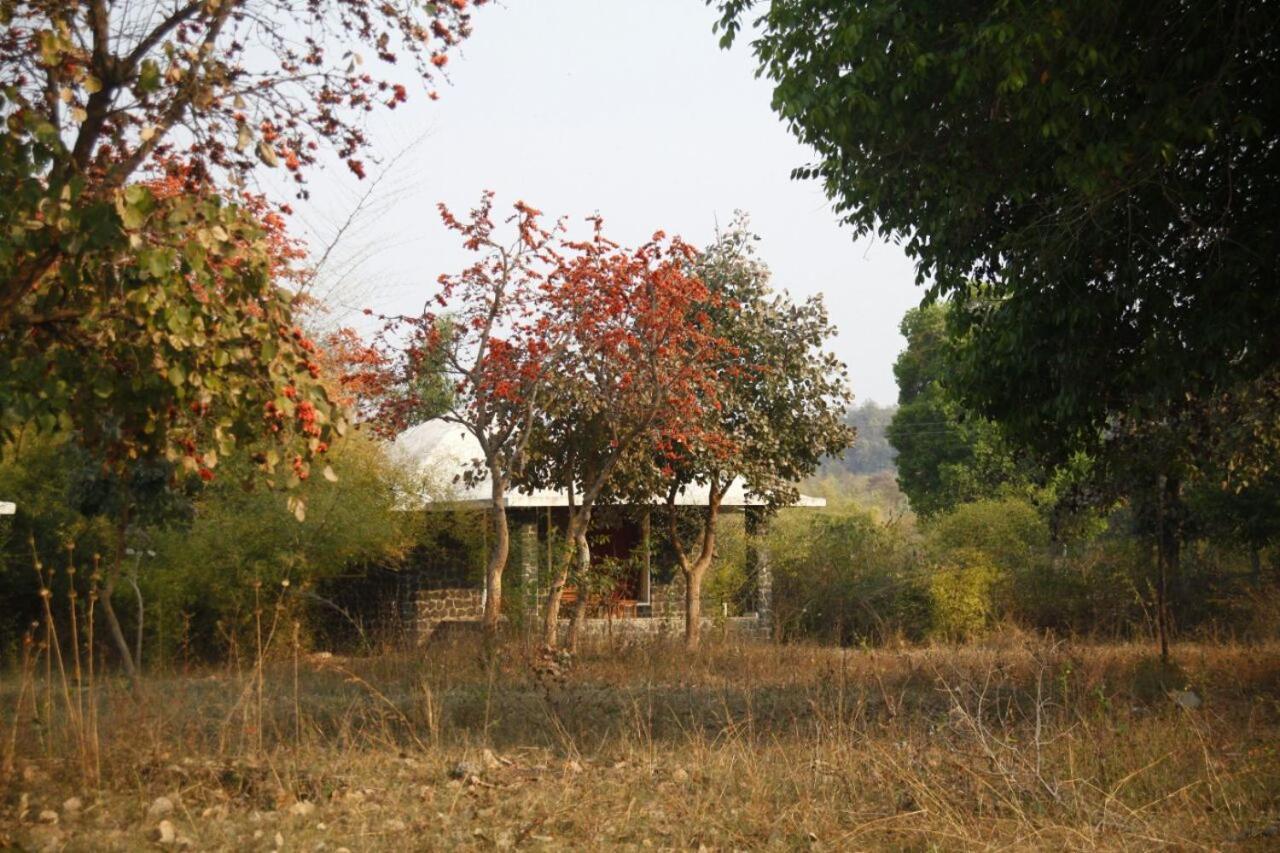 Renest Bandhavgarh Meadows Hotel Tala  Bagian luar foto