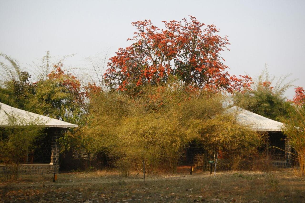 Renest Bandhavgarh Meadows Hotel Tala  Bagian luar foto